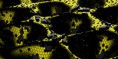/album/abstraktni-3d-grafika/a3d-abstaction-of-hexagonal-rods-3-jpg/